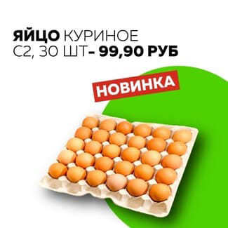 Яйцо
