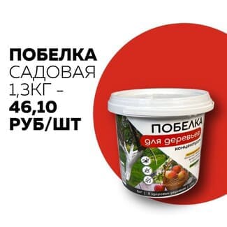 Побелка