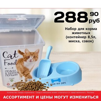 Контейнер